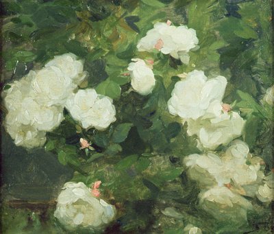 Weiße Rosen von Frank Bramley